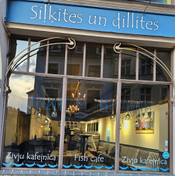Silkites un dillites, Riga, TIRGONU IELA 4
