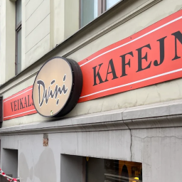 Dvini   Riga, BAZNICAS IELA 45