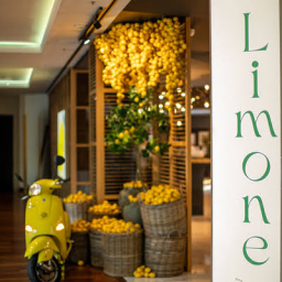 Limone , RIGA, DZIRNAVU IELA 67
